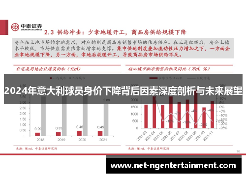 2024年意大利球员身价下降背后因素深度剖析与未来展望