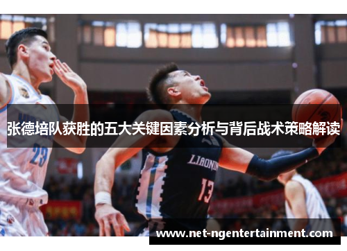 张德培队获胜的五大关键因素分析与背后战术策略解读