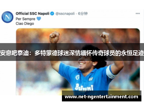 安息吧泰迪：多特蒙德球迷深情缅怀传奇球员的永恒足迹