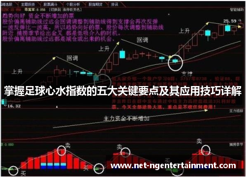 掌握足球心水指数的五大关键要点及其应用技巧详解