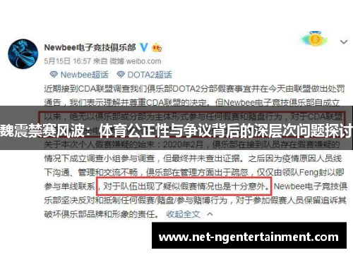 魏震禁赛风波：体育公正性与争议背后的深层次问题探讨