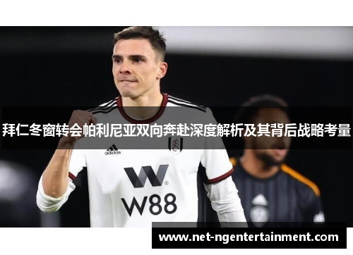 拜仁冬窗转会帕利尼亚双向奔赴深度解析及其背后战略考量 拜仁冬窗转会帕利尼亚双向奔赴深度解析及其背后战略考量