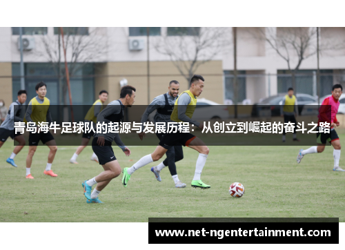 青岛海牛足球队的起源与发展历程：从创立到崛起的奋斗之路