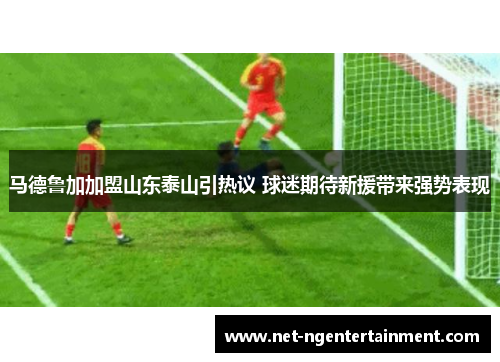 马德鲁加加盟山东泰山引热议 球迷期待新援带来强势表现